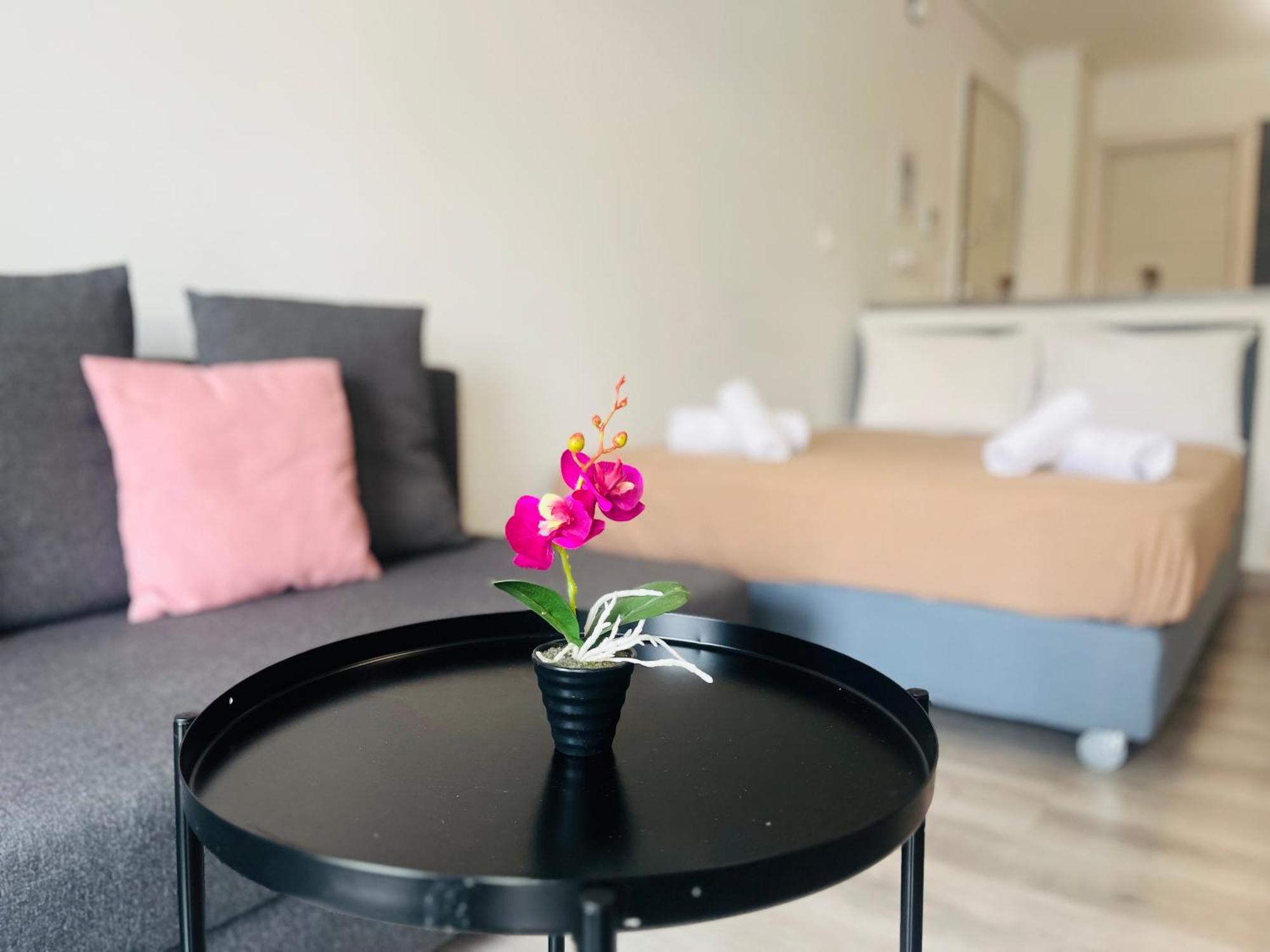 Elvita Apartments 4 Αθήνα Εξωτερικό φωτογραφία